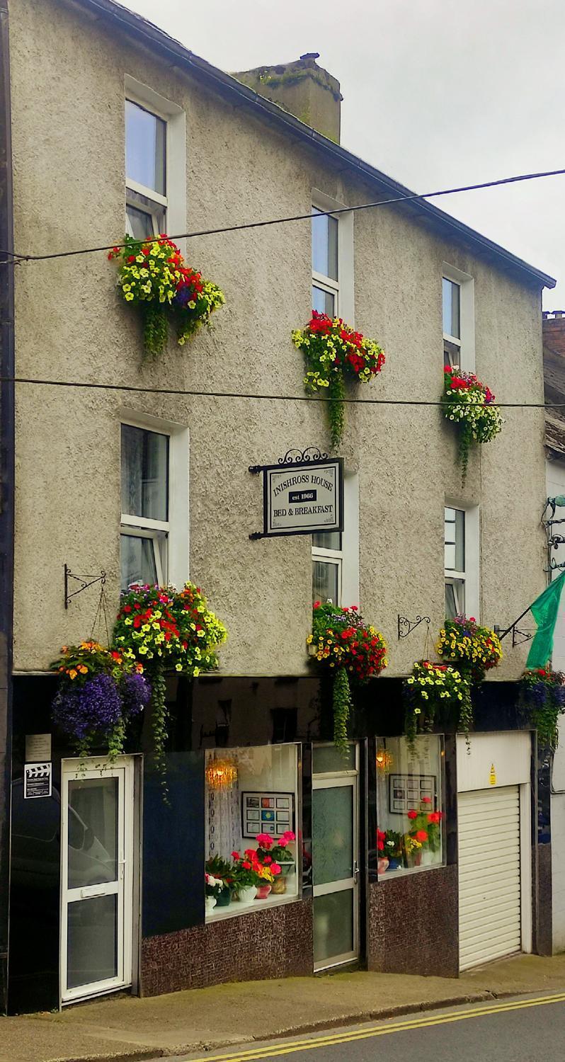 Inishross House Bed and Breakfast New Ross Eksteriør billede